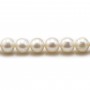 Perles d'eau Douce Blanc rond  8-9mm  AAA x 40cm