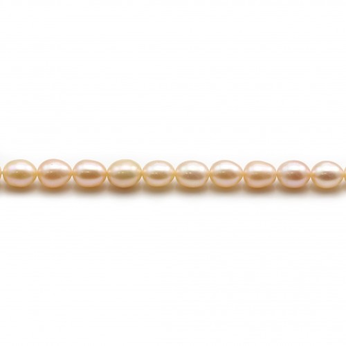 Perles de culture d'eau douce, saumon, olive, 5-6mm x 36cm