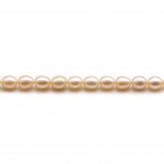 Salmon color oval freshwater pearls on thread5-6mm x 40cm