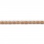 Salmon color oval freshwater pearls on thread6-7mm x 40cm