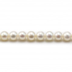 White round freshwater pearls on thread 6mm x 40cm