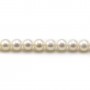 White round freshwater pearls on thread 6mm x 40cm