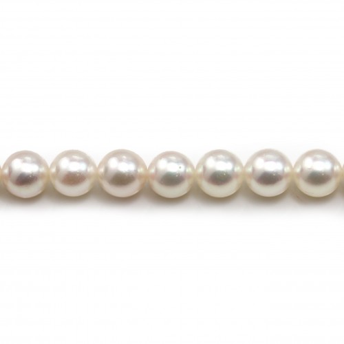 Perles culture AKOYA japonais rond  7-7.5mm   x 40cm