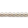 Perles culture AKOYA japonais rond  7-7.5mm   x 40cm