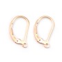 Gold filled rosé 14 carats dormeuse x 2pcs