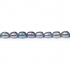 Grey Freshwater Pearl oval 5.5-6.5x6-7.3mm x 40cm 