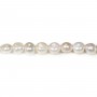 Perles d'eau douce blanche baroque 10-12mm x 40cm