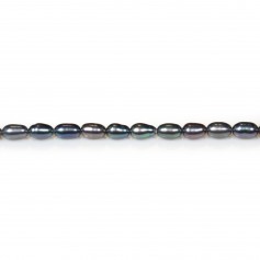 Perles de culture d'eau douce, bleu fonce, olive, 3-4mm x 36cm