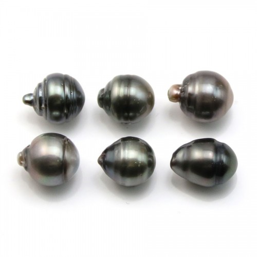 Tahitian pearl half round 12.5x13.5mm x 6pcs