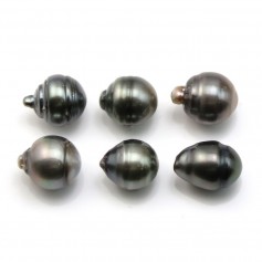 Tahitian pearl half round 12.5x13.5mm x 6pcs