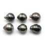 Tahitian pearl half round 12.5x13.5mm x 6pcs