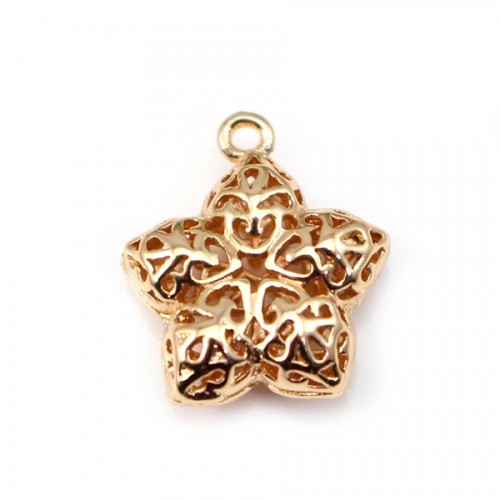 Etoile dorée sur laiton 14x16mm x 1pc