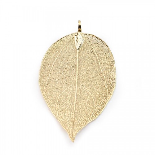 Real natural leaf stuck by "flash" gold on brass 34-45 x 65-85mm x 1pc