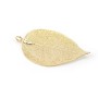 Véritable feuille d'arbre naturelle dorée sur laiton 34-45 x 65-85mm x 1pc