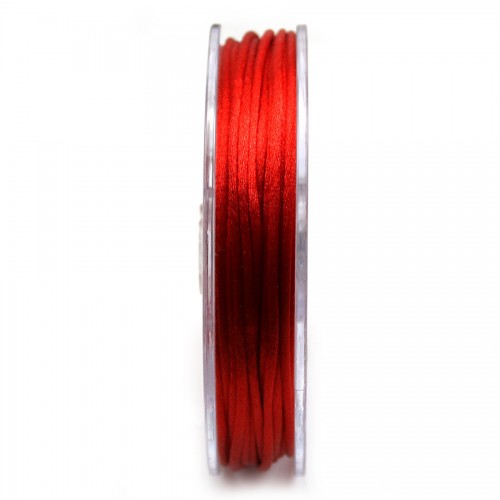 Cordon queue de rat rouge 2mm x 25m