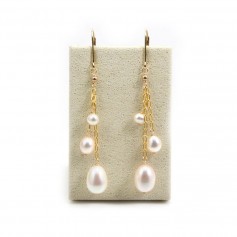 Boucles d’oreilles en gold filled perle de culture d'eau douce  x 2pcs