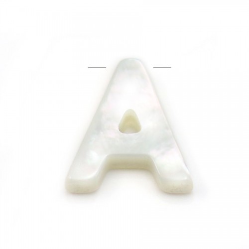 Nacre blanche en forme de fleurs sur fil 6mm x 40cm (15pcs)