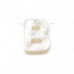 Nacre blanche en forme de fleurs sur fil 6mm x 40cm (15pcs)