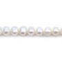White Baroque Freshwater cultured Pearl x 40cm