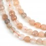 Moon Stones in round faceted flat shape, 6mm x 39cm
