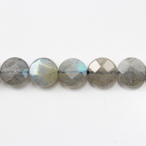 Labradorite Faceted Flat Round 10mm x 4pcs