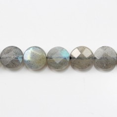 Labradorite Ronde Plate Facette 10mm x  4pcs