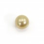 South Sea pearl, half-drilled, champagne, round, 9-10mm