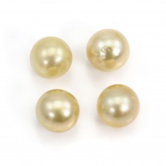 South Sea pearl, half-drilled, champagne, round, 9-10mm