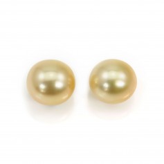 Perle des mers du Sud, dorée, semi-ronde, 10-11mm x 2pcs,  AA