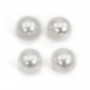 South Sea Pearl, white, round, 10-10.5mm, AA+ x 1pc