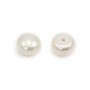 Perles de culture d'eau douce, semi-percée, blanche, bouton, 9-9.5mm x 2pcs