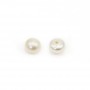 Perles de culture d'eau douce, semi-percée, blanche, bouton, 5.5-6mm x 4pcs