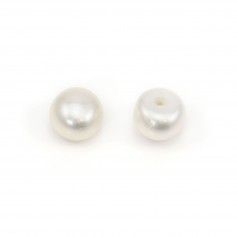 Perles de culture d'eau douce, semi-percée, blanche, bouton, 6-6.5mm x 2pcs