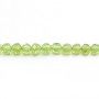 Peridot Rond Facette 3mm x 37cm