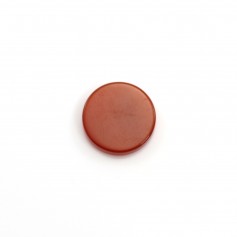 Cabochon cornaline, rond plat 10mm x 2pcs