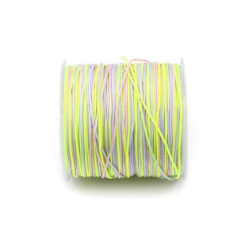 Fil polyester multicolore ton pastel  0.8 mm x 5m