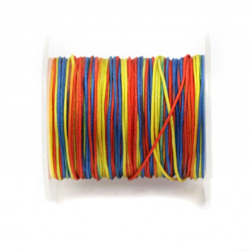 Fil polyester multicolore ton tropical 0.8 mm x 5m