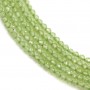 Peridot Rondelle Facette 1.8x2.1mm x 33cm
