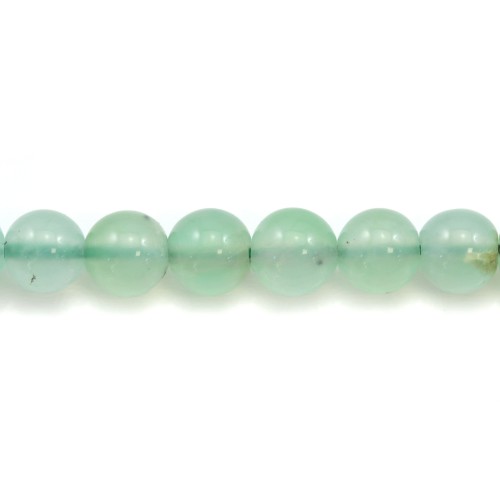 Chrysoprase round 6x7mm x 2pcs