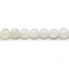 Pierre de Lune Ronde 4mm x 10pcs