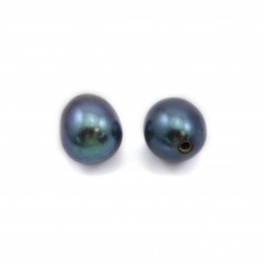 Perles de culture d'eau douce, semi-percée, bleue foncée,  ovale, 6-6.5mm x 2pcs
