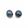 Perles de culture d'eau douce, semi-percée, bleue foncée,  ovale, 6-6.5mm x 2pcs