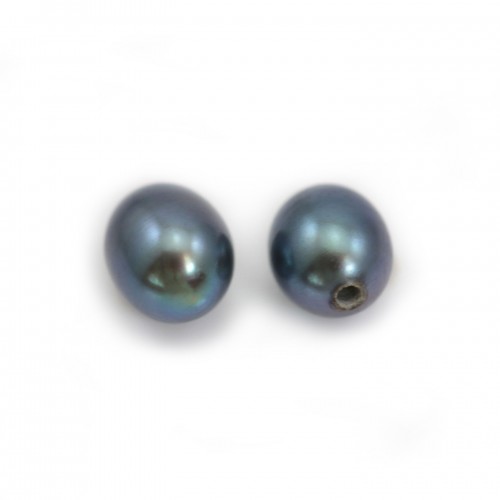 Perles de culture d'eau douce, semi-percée, bleue foncée, ovale, 4-4.5mm x 2pcs