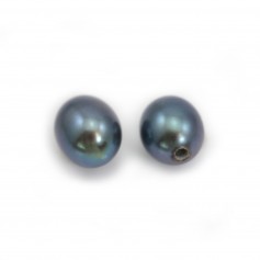 Perles de culture d'eau douce, semi-percée, bleue foncée, ovale, 4-4.5mm x 2pcs