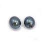 Perles de culture d'eau douce, semi-percée, bleue foncée, ovale, 4-4.5mm x 2pcs