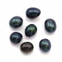 Perle de culture d'eau douce, semi-percée, bleu foncé, ovale, 7-7.5mm x 4pcs