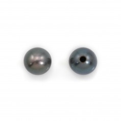 Perles de culture d'eau douce, semi-percée, bleue foncée, ronde,4-4.5mm  x 2pcs