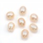 Perle de culture d'eau douce, semi-percée, saumon, ovale, 8-8.5mm x 1pc