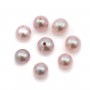 Perles de culture d'eau douce, semi-percée, mauve, ronde, 5-5.5mm x 2pcs