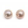 Perles de culture d'eau douce, semi-percée, mauve, bouton, 10.5-11mm x 2pcs